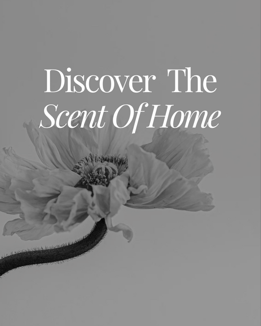 Discovery Pack